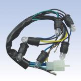 ZN-B032