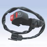 ZN-A043