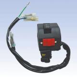 ZN-A031
