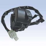 ZN-A029