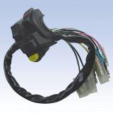 ZN-A010