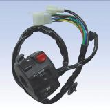 ZN-A006